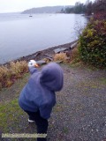 Hiking along Coulon Beach, Lake Washington - Renton, Washington. Photos on January 23, 2020. The Adventures of Sir Oisin Leif:  Saga 1 - Dual states at https://technotink.net/adventures/?page_id=2.  Photography by Sir Oisin Leif, Thomas Baurley, Leaf McGowan, Technotink.net/photography  (c) 2020. All rights reserved.