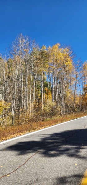 10.01.24: Wyoming to Colorado. https://technotink.net/adventures/?p=7629 Adventures of Sir Thomas Oisin Rhymour. Photo copyright by Techno Tink Photography www.technotink.net/photography. (c) 2023: Thomas Baurley.