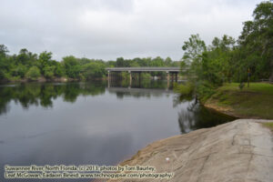 Suwannee River, North Florida