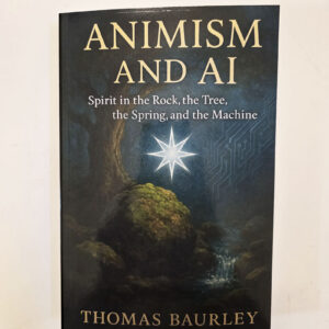 Animism and Ai by Thomas Baurley (Paperback 2025)